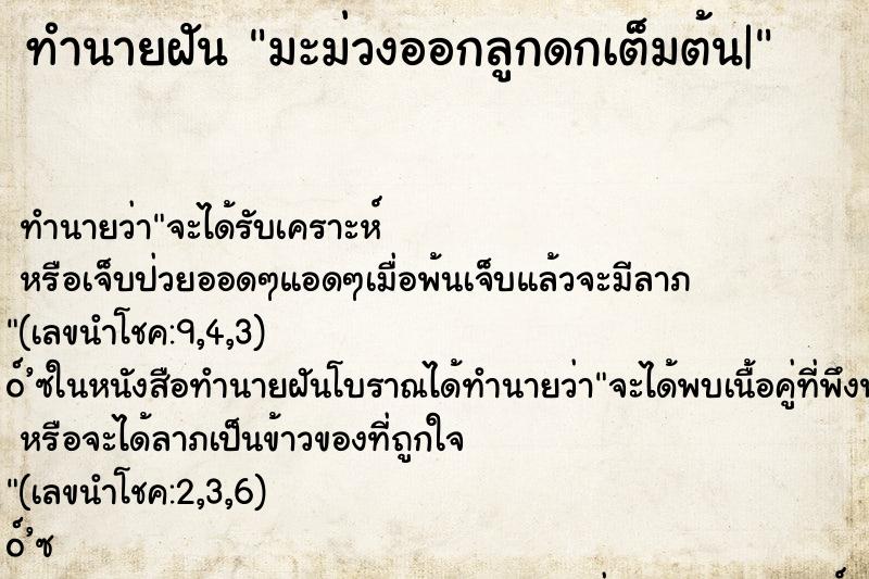 ทำนายฝัน มะม่วงออกลูกดกเต็มต้น|